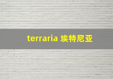 terraria 埃特尼亚